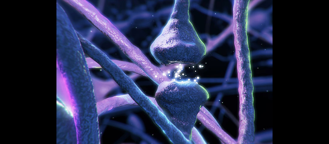 Synthetic Neurons for More Intelligent Robots